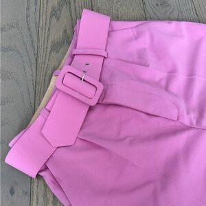 Zara Belted Pants